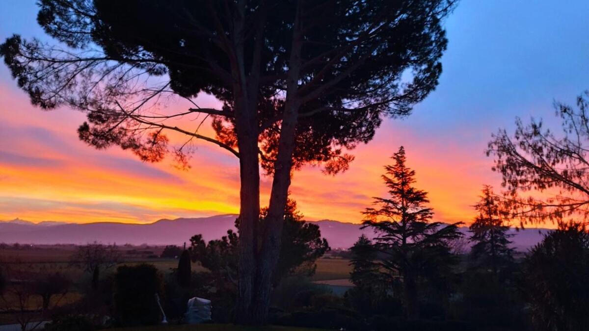 La Villa Moursoise 4 Etoiles エクステリア 写真